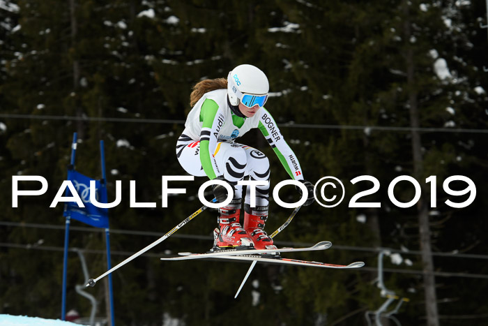 Int. FIS Rennen + NJC  AC Damen, FIS SG, Götschen, 01.02.2019