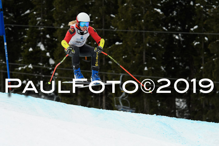 Int. FIS Rennen + NJC  AC Damen, FIS SG, Götschen, 01.02.2019