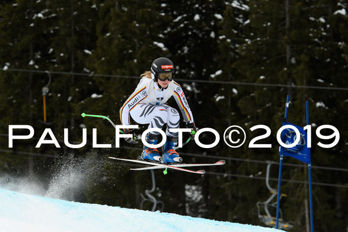 Int. FIS Rennen + NJC  AC Damen, FIS SG, Götschen, 01.02.2019