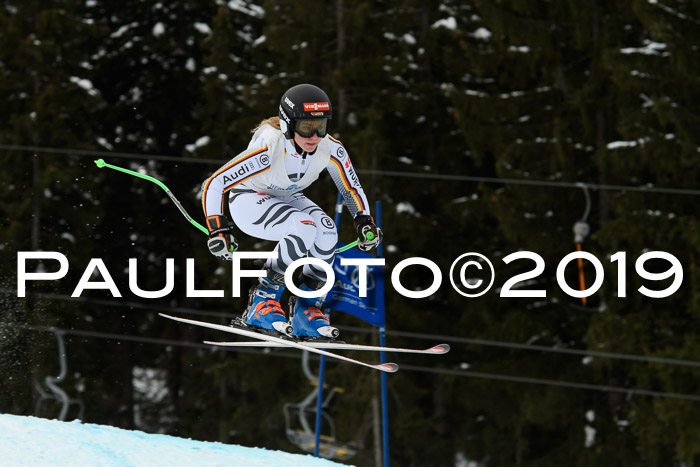 Int. FIS Rennen + NJC  AC Damen, FIS SG, Götschen, 01.02.2019