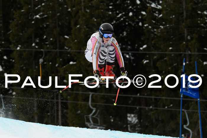 Int. FIS Rennen + NJC  AC Damen, FIS SG, Götschen, 01.02.2019