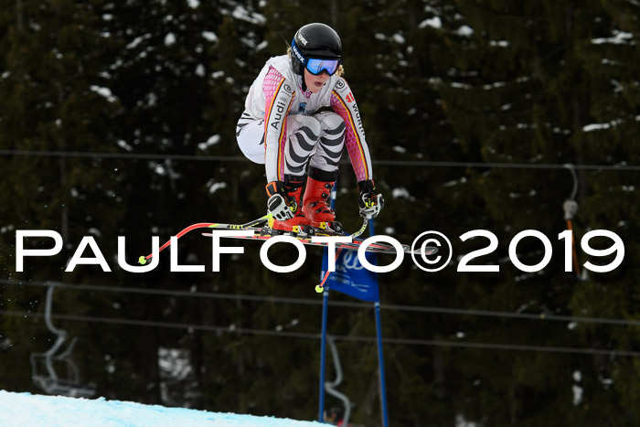 Int. FIS Rennen + NJC  AC Damen, FIS SG, Götschen, 01.02.2019
