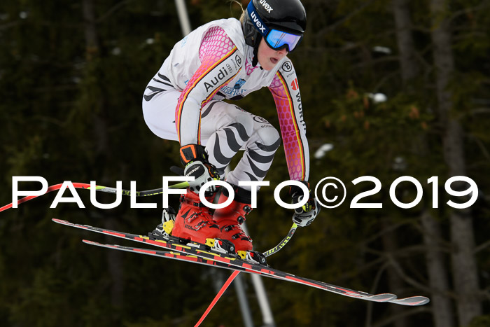 Int. FIS Rennen + NJC  AC Damen, FIS SG, Götschen, 01.02.2019