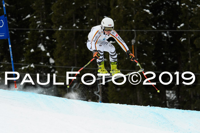 Int. FIS Rennen + NJC  AC Damen, FIS SG, Götschen, 01.02.2019