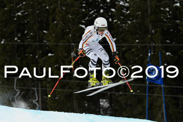 Int. FIS Rennen + NJC  AC Damen, FIS SG, Götschen, 01.02.2019