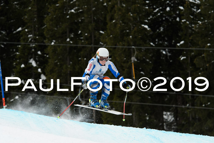 Int. FIS Rennen + NJC  AC Damen, FIS SG, Götschen, 01.02.2019