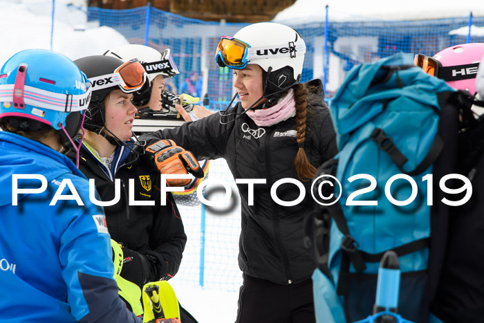 Int. FIS Rennen + NJC  AC Damen, FIS SG, Götschen, 01.02.2019