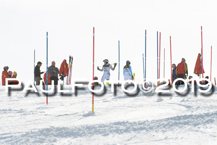 Int. FIS Rennen + NJC  AC Damen, FIS SG, Götschen, 01.02.2019