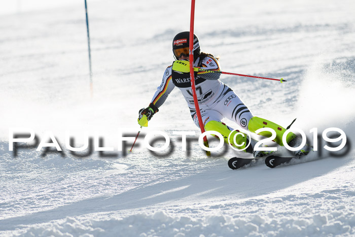 Int. FIS Rennen + NJC  AC Damen, FIS SG, Götschen, 01.02.2019