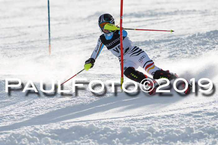 Int. FIS Rennen + NJC  AC Damen, FIS SG, Götschen, 01.02.2019