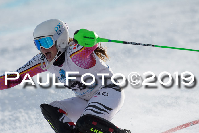 Int. FIS Rennen + NJC  AC Damen, FIS SG, Götschen, 01.02.2019