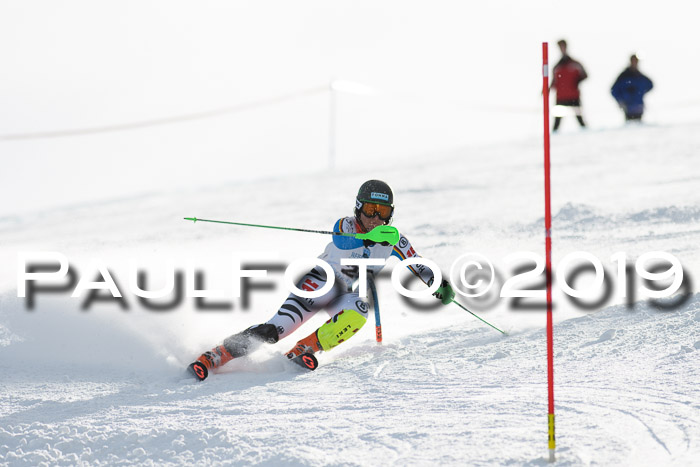 Int. FIS Rennen + NJC  AC Damen, FIS SG, Götschen, 01.02.2019
