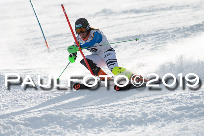 Int. FIS Rennen + NJC  AC Damen, FIS SG, Götschen, 01.02.2019