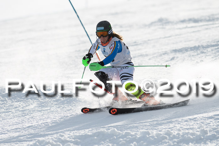 Int. FIS Rennen + NJC  AC Damen, FIS SG, Götschen, 01.02.2019