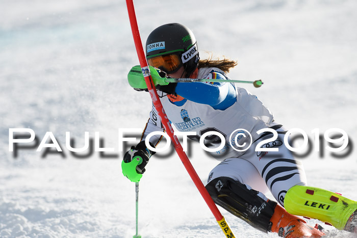 Int. FIS Rennen + NJC  AC Damen, FIS SG, Götschen, 01.02.2019