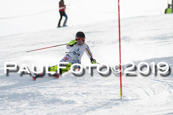 Int. FIS Rennen + NJC  AC Damen, FIS SG, Götschen, 01.02.2019