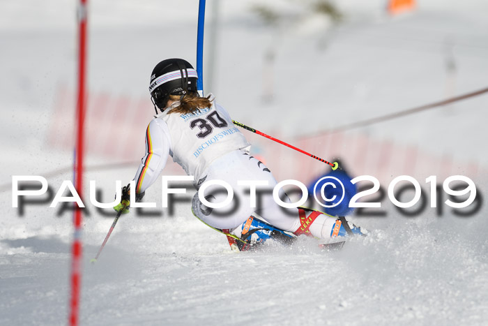 Int. FIS Rennen + NJC  AC Damen, FIS SG, Götschen, 01.02.2019