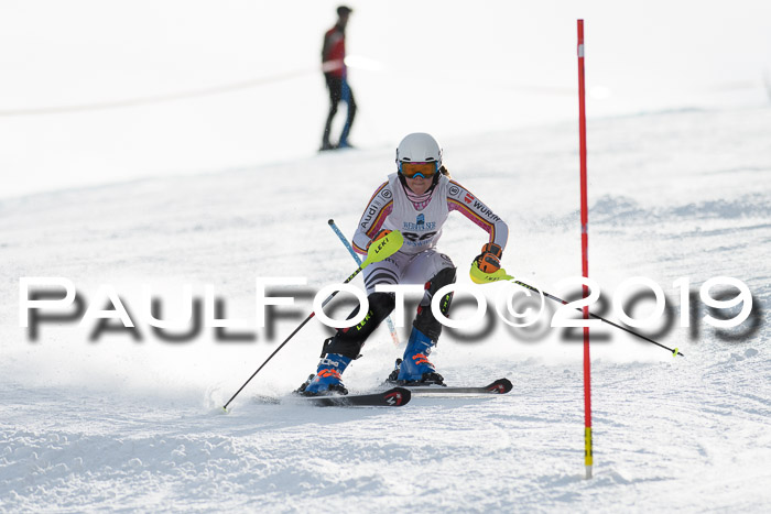 Int. FIS Rennen + NJC  AC Damen, FIS SG, Götschen, 01.02.2019
