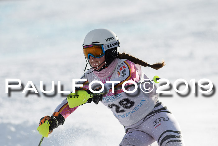 Int. FIS Rennen + NJC  AC Damen, FIS SG, Götschen, 01.02.2019