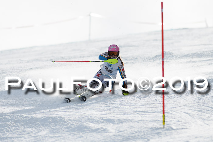 Int. FIS Rennen + NJC  AC Damen, FIS SG, Götschen, 01.02.2019