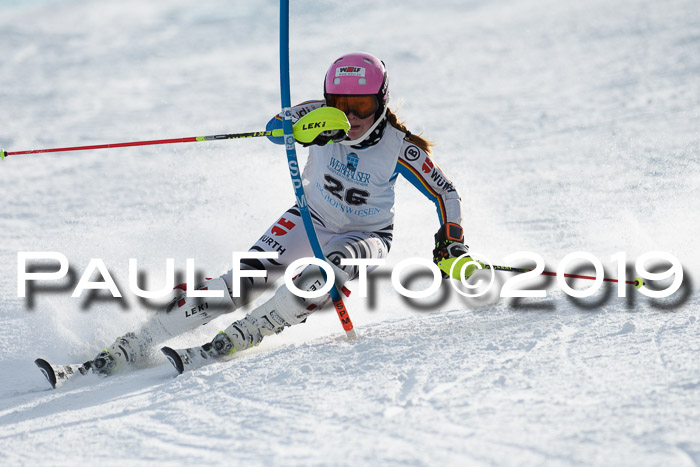 Int. FIS Rennen + NJC  AC Damen, FIS SG, Götschen, 01.02.2019