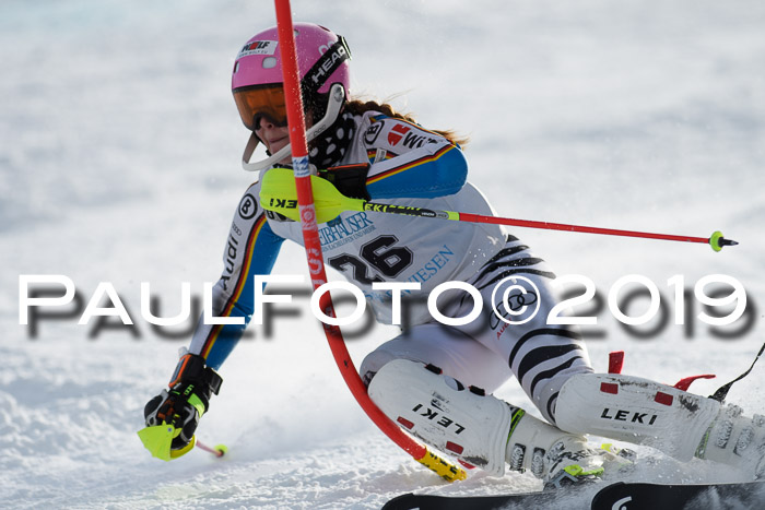 Int. FIS Rennen + NJC  AC Damen, FIS SG, Götschen, 01.02.2019