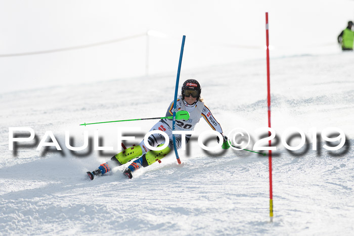 Int. FIS Rennen + NJC  AC Damen, FIS SG, Götschen, 01.02.2019