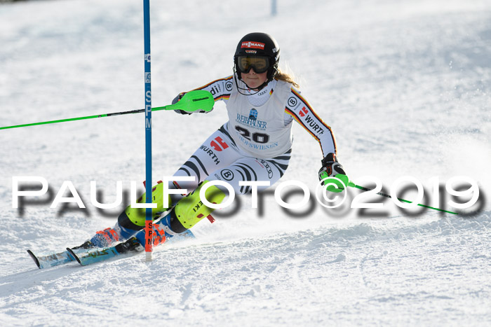 Int. FIS Rennen + NJC  AC Damen, FIS SG, Götschen, 01.02.2019