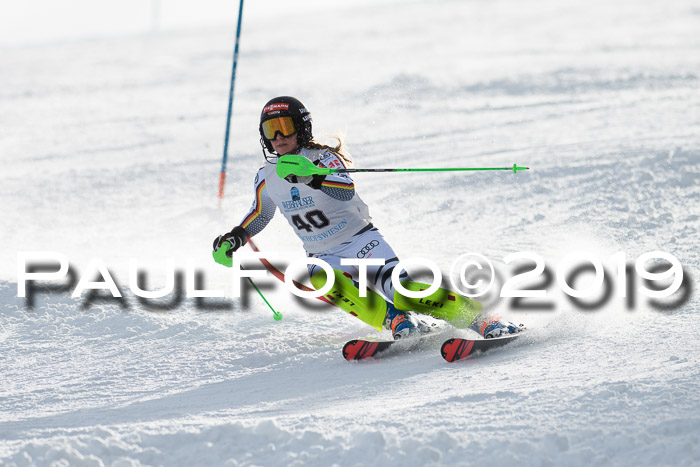 Int. FIS Rennen + NJC  AC Damen, FIS SG, Götschen, 01.02.2019