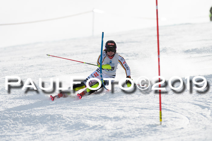 Int. FIS Rennen + NJC  AC Damen, FIS SG, Götschen, 01.02.2019