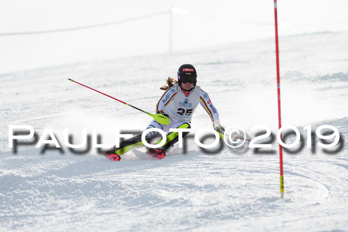 Int. FIS Rennen + NJC  AC Damen, FIS SG, Götschen, 01.02.2019