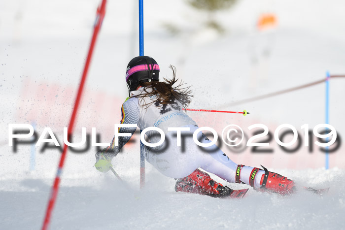 Int. FIS Rennen + NJC  AC Damen, FIS SG, Götschen, 01.02.2019