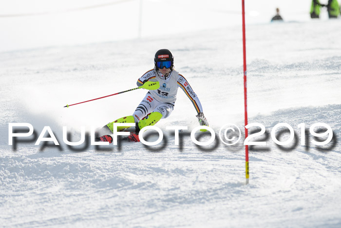 Int. FIS Rennen + NJC  AC Damen, FIS SG, Götschen, 01.02.2019
