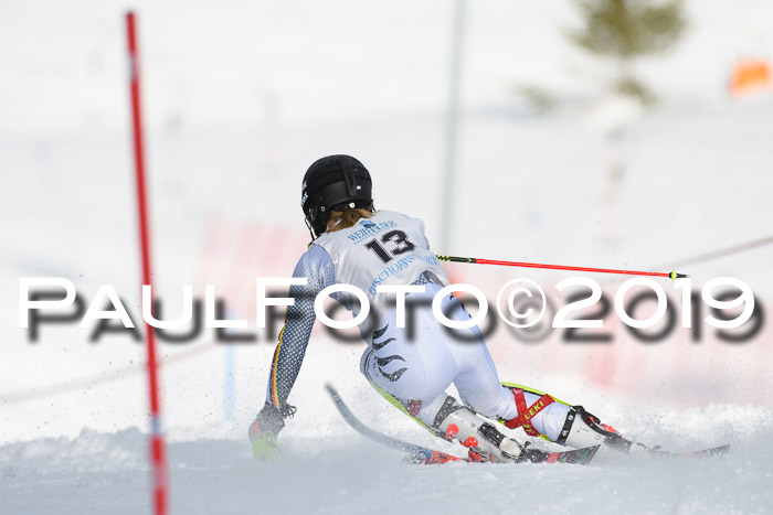 Int. FIS Rennen + NJC  AC Damen, FIS SG, Götschen, 01.02.2019