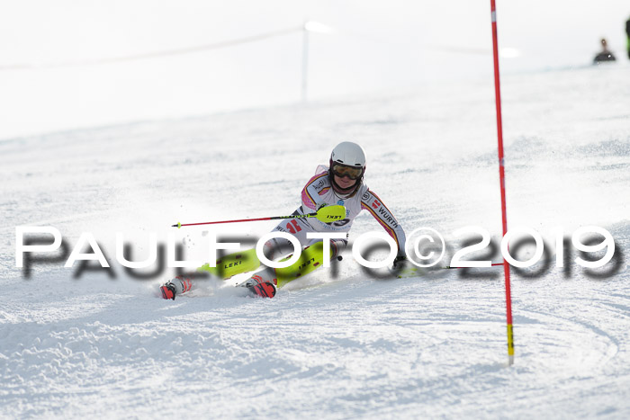 Int. FIS Rennen + NJC  AC Damen, FIS SG, Götschen, 01.02.2019