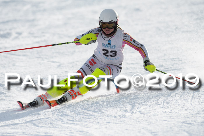 Int. FIS Rennen + NJC  AC Damen, FIS SG, Götschen, 01.02.2019