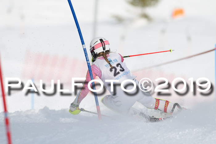 Int. FIS Rennen + NJC  AC Damen, FIS SG, Götschen, 01.02.2019