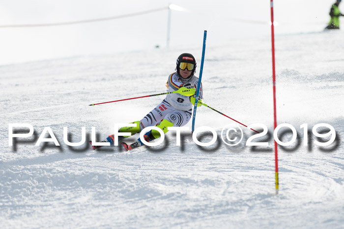 Int. FIS Rennen + NJC  AC Damen, FIS SG, Götschen, 01.02.2019