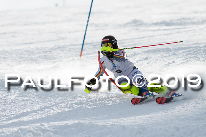 Int. FIS Rennen + NJC  AC Damen, FIS SG, Götschen, 01.02.2019