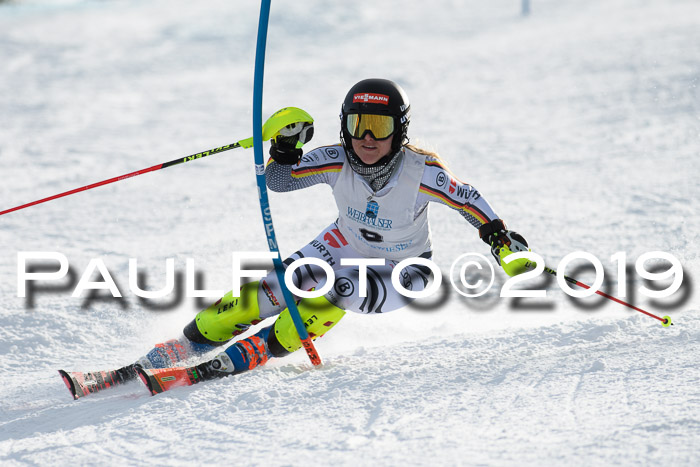 Int. FIS Rennen + NJC  AC Damen, FIS SG, Götschen, 01.02.2019