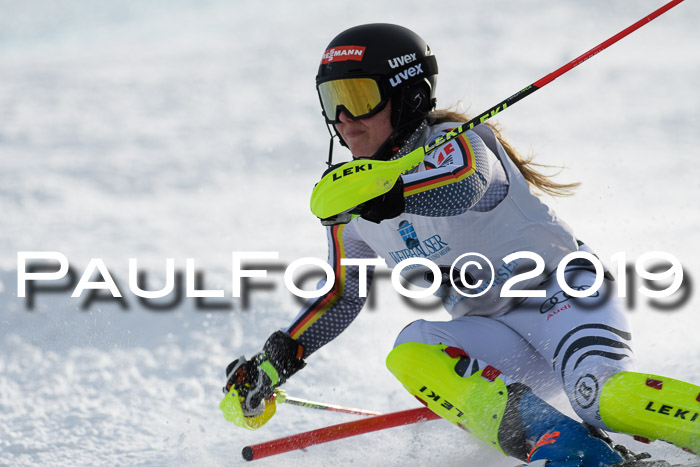 Int. FIS Rennen + NJC  AC Damen, FIS SG, Götschen, 01.02.2019