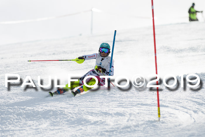 Int. FIS Rennen + NJC  AC Damen, FIS SG, Götschen, 01.02.2019