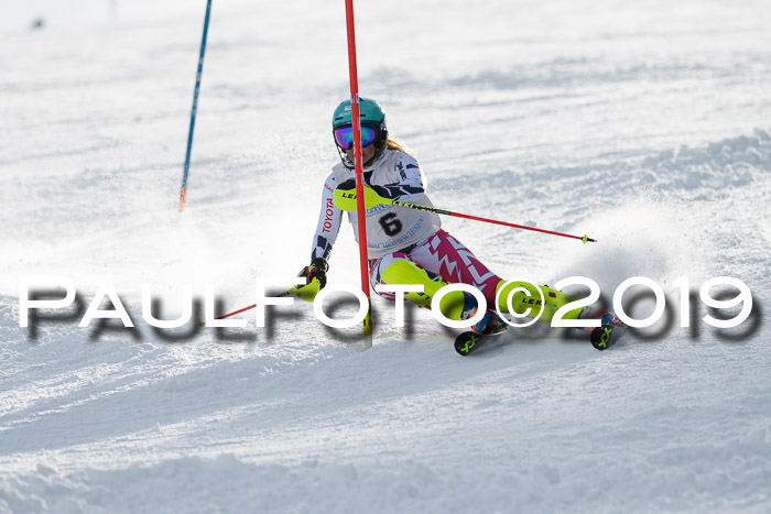 Int. FIS Rennen + NJC  AC Damen, FIS SG, Götschen, 01.02.2019