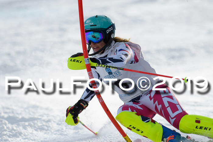 Int. FIS Rennen + NJC  AC Damen, FIS SG, Götschen, 01.02.2019