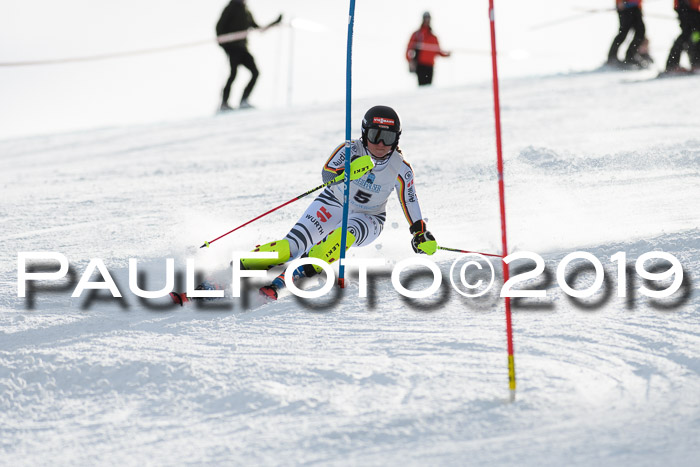 Int. FIS Rennen + NJC  AC Damen, FIS SG, Götschen, 01.02.2019
