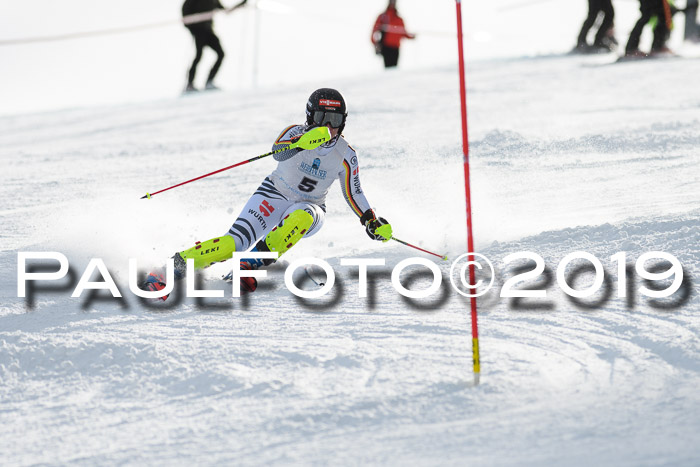 Int. FIS Rennen + NJC  AC Damen, FIS SG, Götschen, 01.02.2019