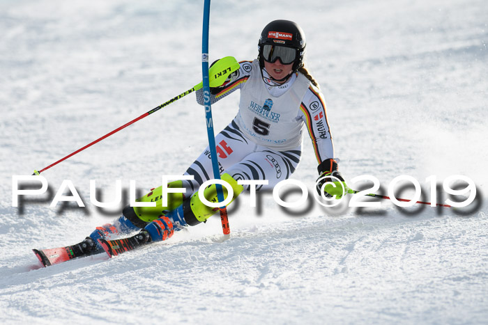 Int. FIS Rennen + NJC  AC Damen, FIS SG, Götschen, 01.02.2019
