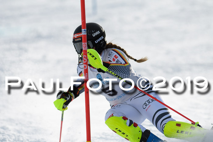 Int. FIS Rennen + NJC  AC Damen, FIS SG, Götschen, 01.02.2019