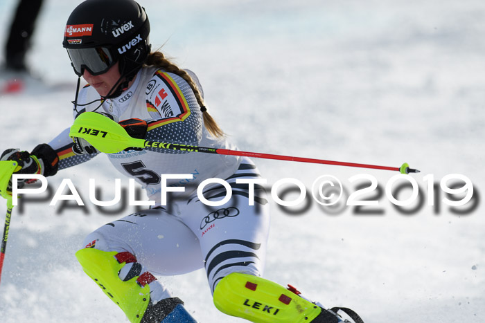 Int. FIS Rennen + NJC  AC Damen, FIS SG, Götschen, 01.02.2019