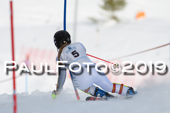 Int. FIS Rennen + NJC  AC Damen, FIS SG, Götschen, 01.02.2019